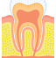 Endodonti